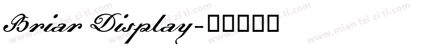 Briar Display字体转换